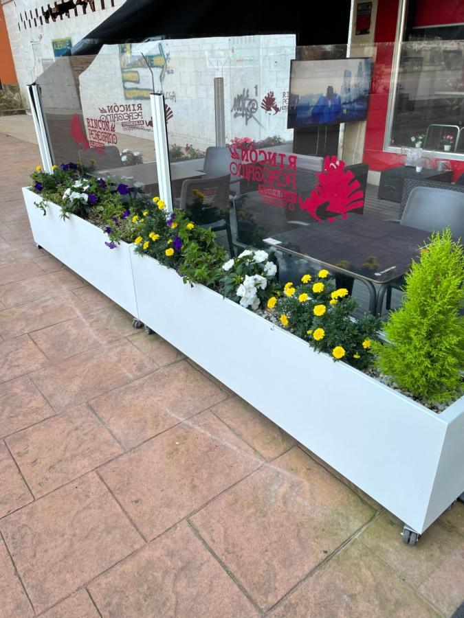 Albergue Rincon Del Peregrino Porrino-Pleno Centro-City Center Luaran gambar